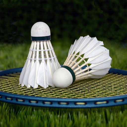 Badminton