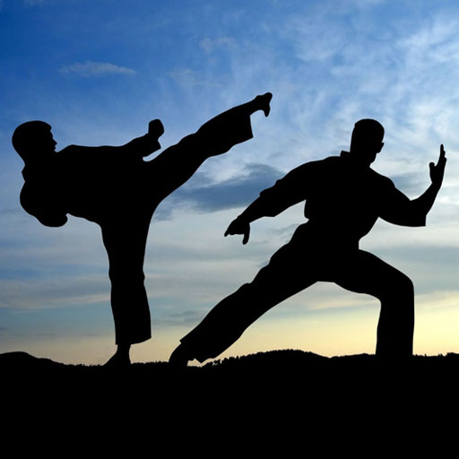 Martial Arts